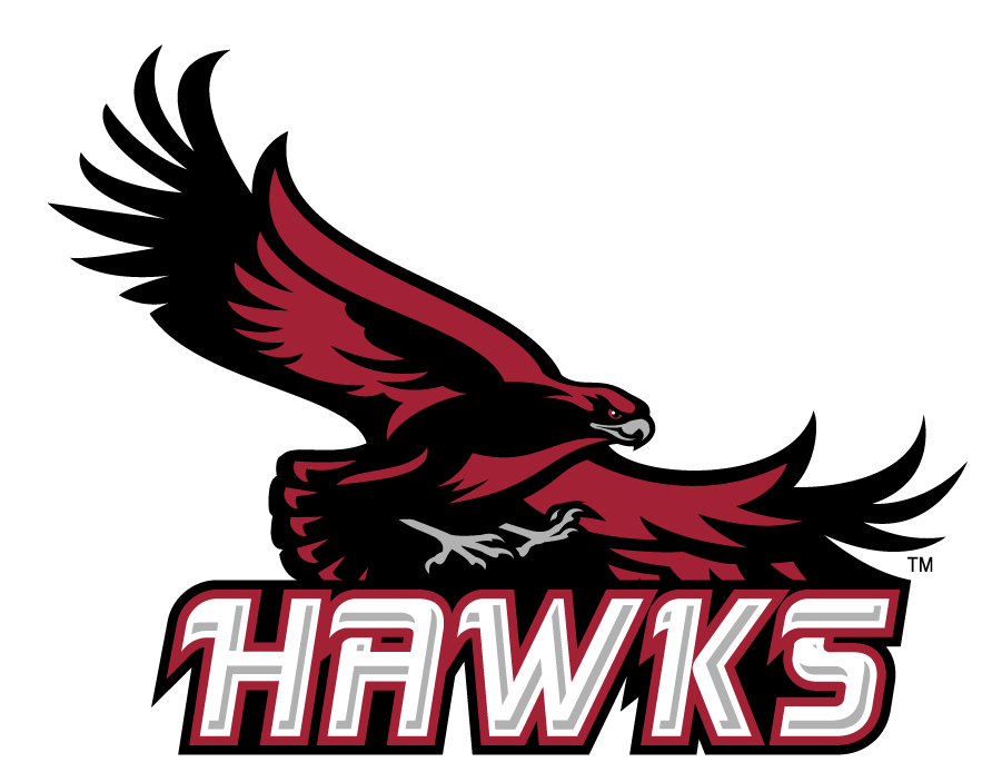 St. Josephs Hawks 2002-2007 Secondary Logo v2 diy iron on heat transfer